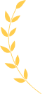Award trophy
